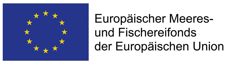 Logo EMFAF